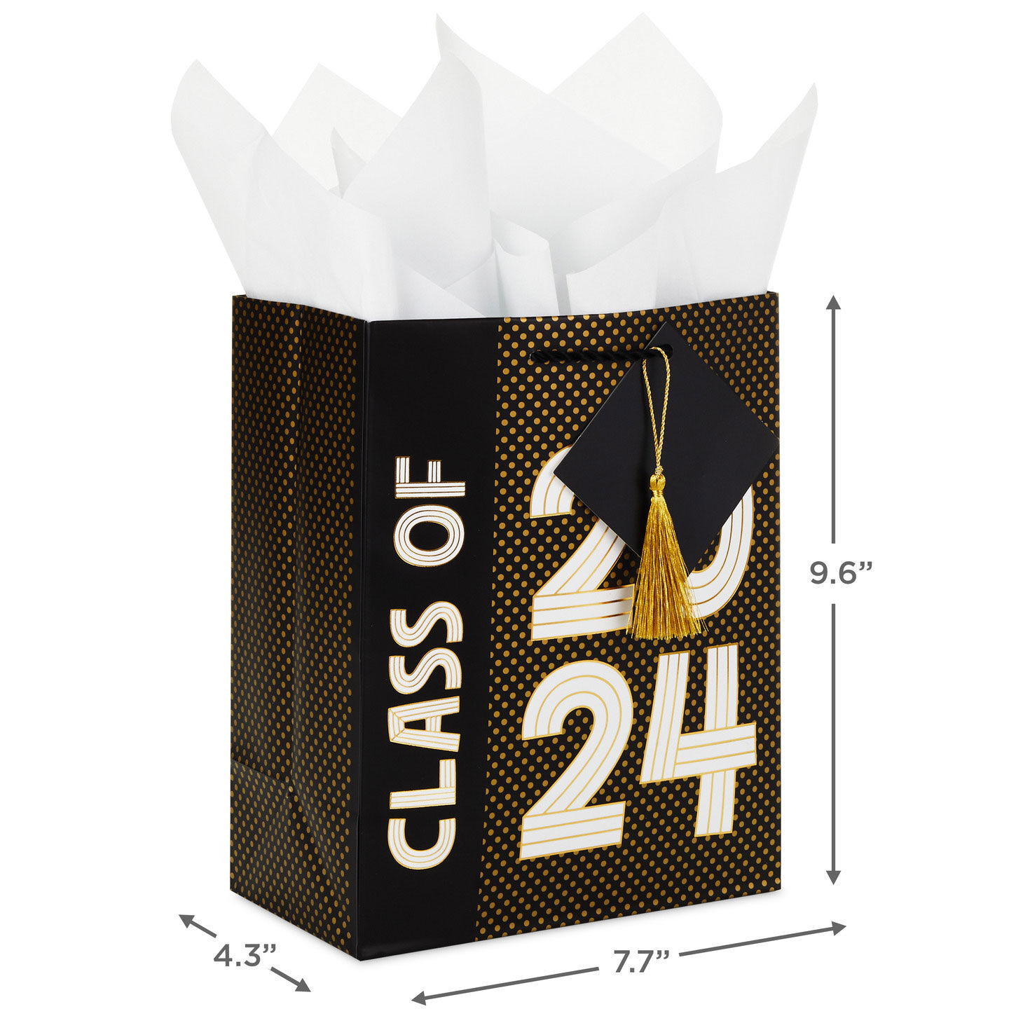 9.6" Class of 2024 Medium Graduation Gift Bag With Tissue Paper, , large image number 3
