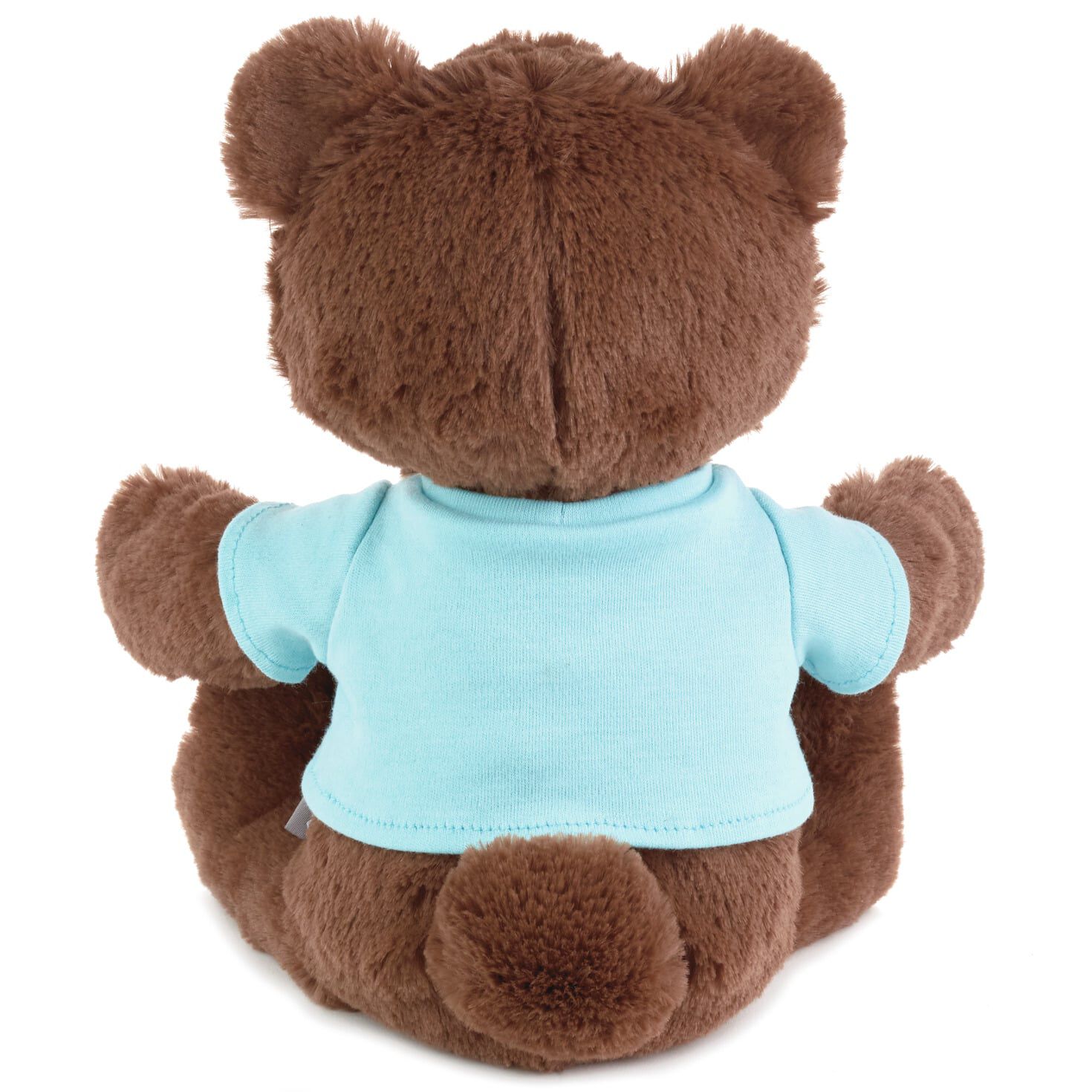 teddy bear hallmark