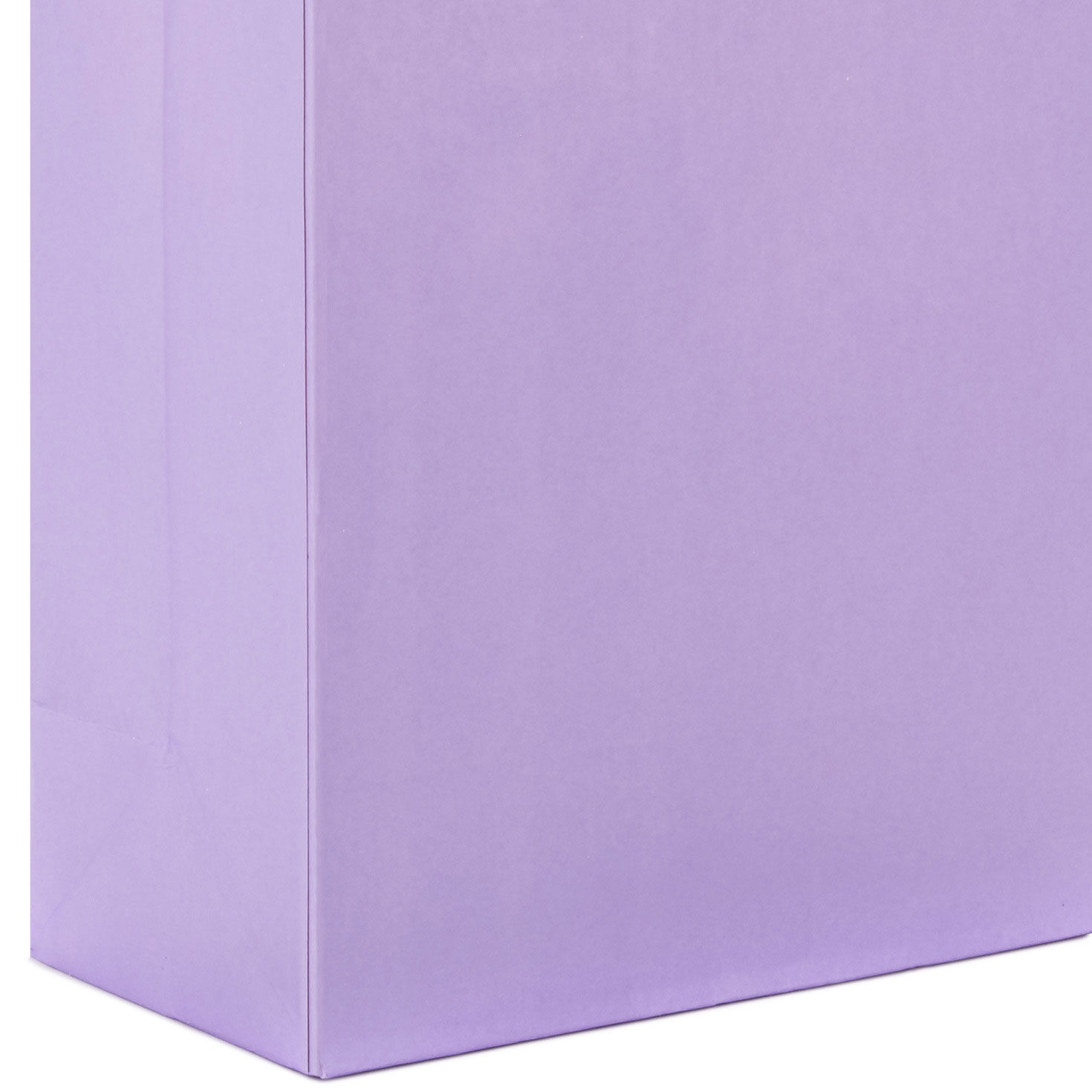 Solid Pastel Gift Bags in Assorted Sizes upclose view image number 5