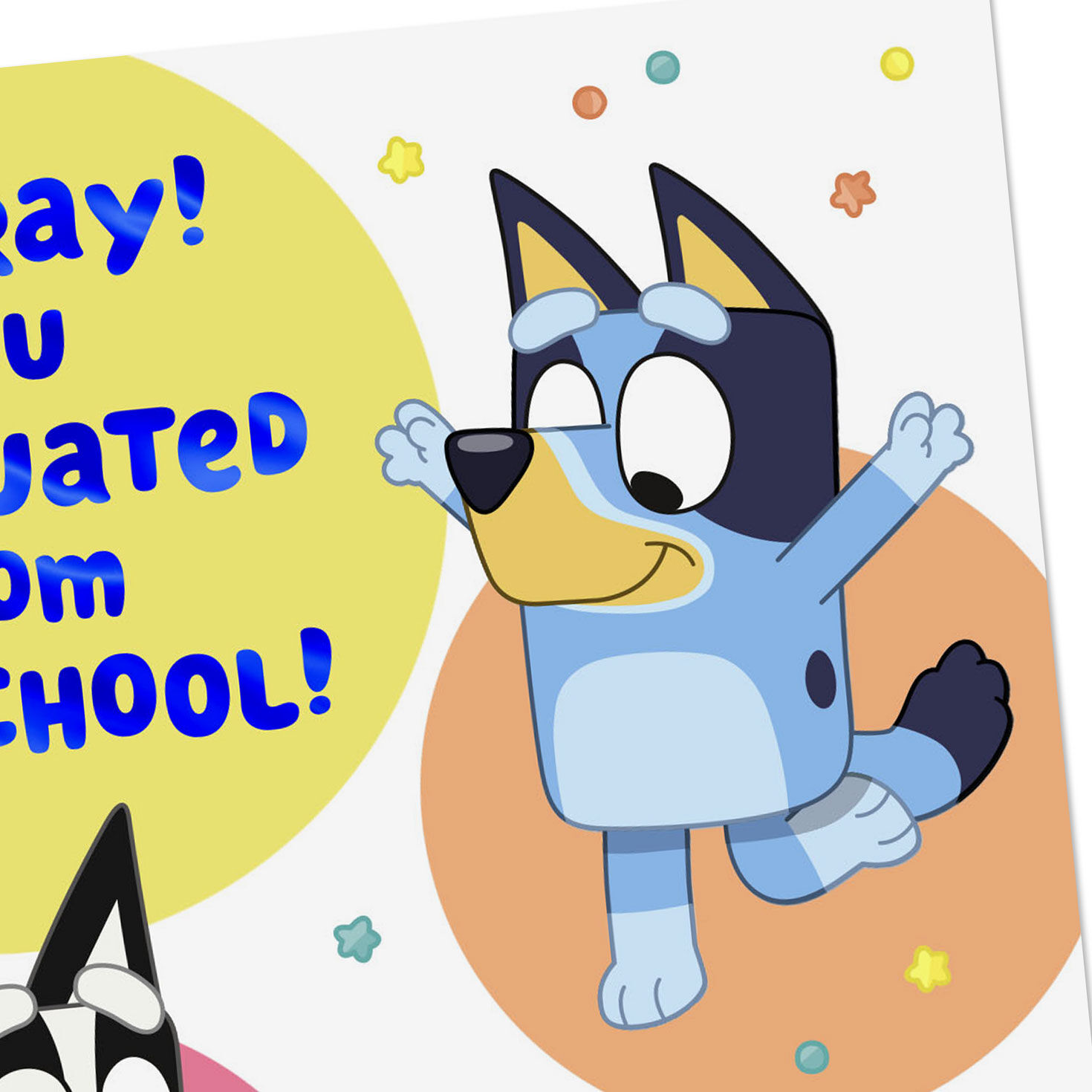 Bluey and Bingo Preschool Graduation Card  image number 4