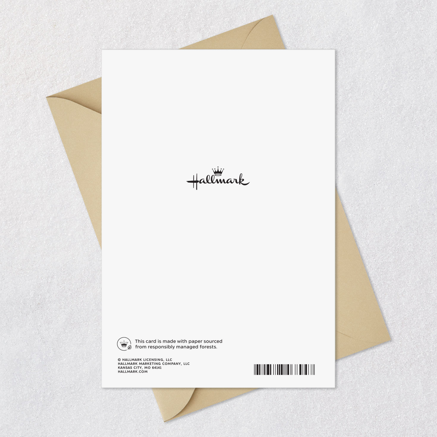 Laser-Cut Flowers and Leaves Sympathy Card Card Back with Envelope image number 7