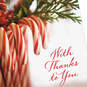 Candy Canes Good Cheer Holiday Thank You Cards, Pack of 6, , large image number 4