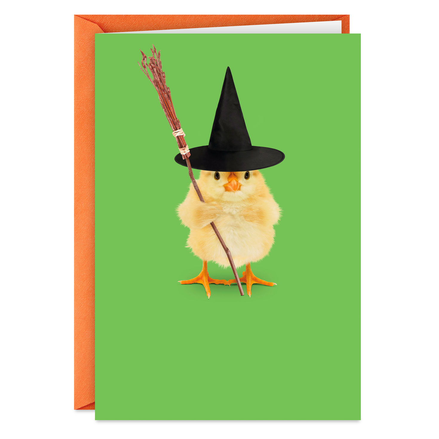 Chick in Witch Hat Funny Halloween Card