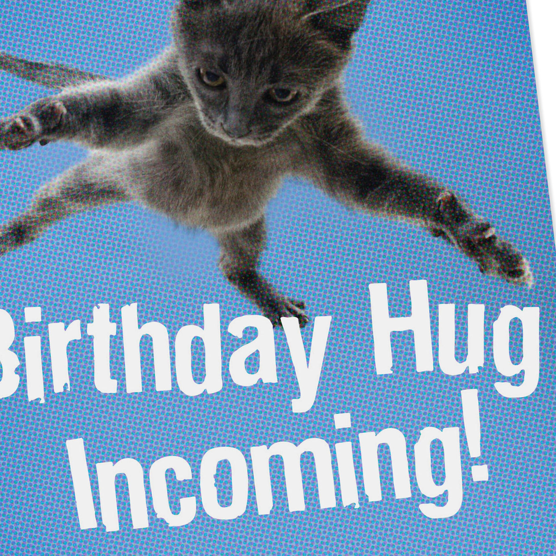 Flying Cat Hug Birthday Card Greeting Cards Hallmark