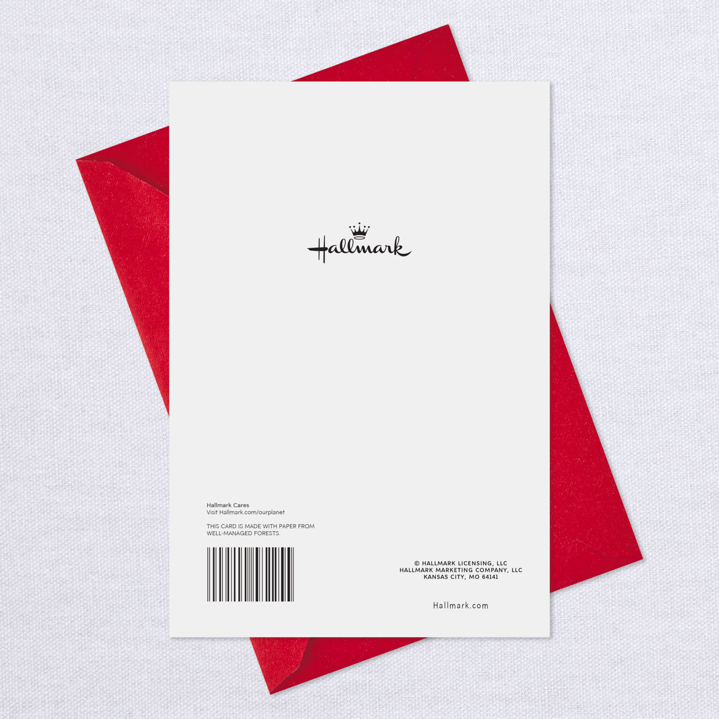 Santa With Kitten Christmas Card for Granddaughter, , large image number 7