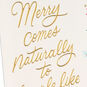 Pink and Red Poinsettias Christmas Card Card Front Detail image number 4