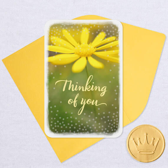3.25" Mini Hope You're Having a Good Day Thinking of You Card, , large image number 6