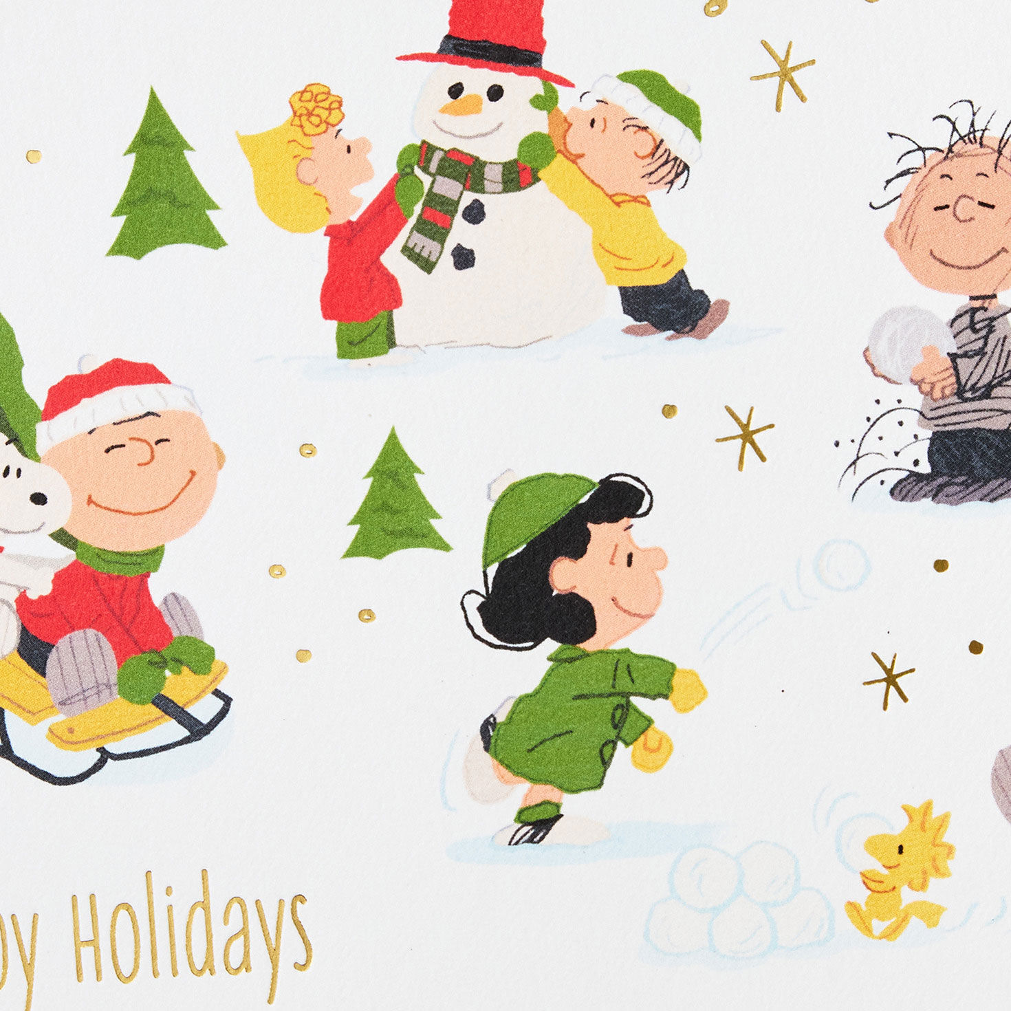 Peanuts Gang Snow Fun Boxed Christmas Card Pack Cover Detail image number 5