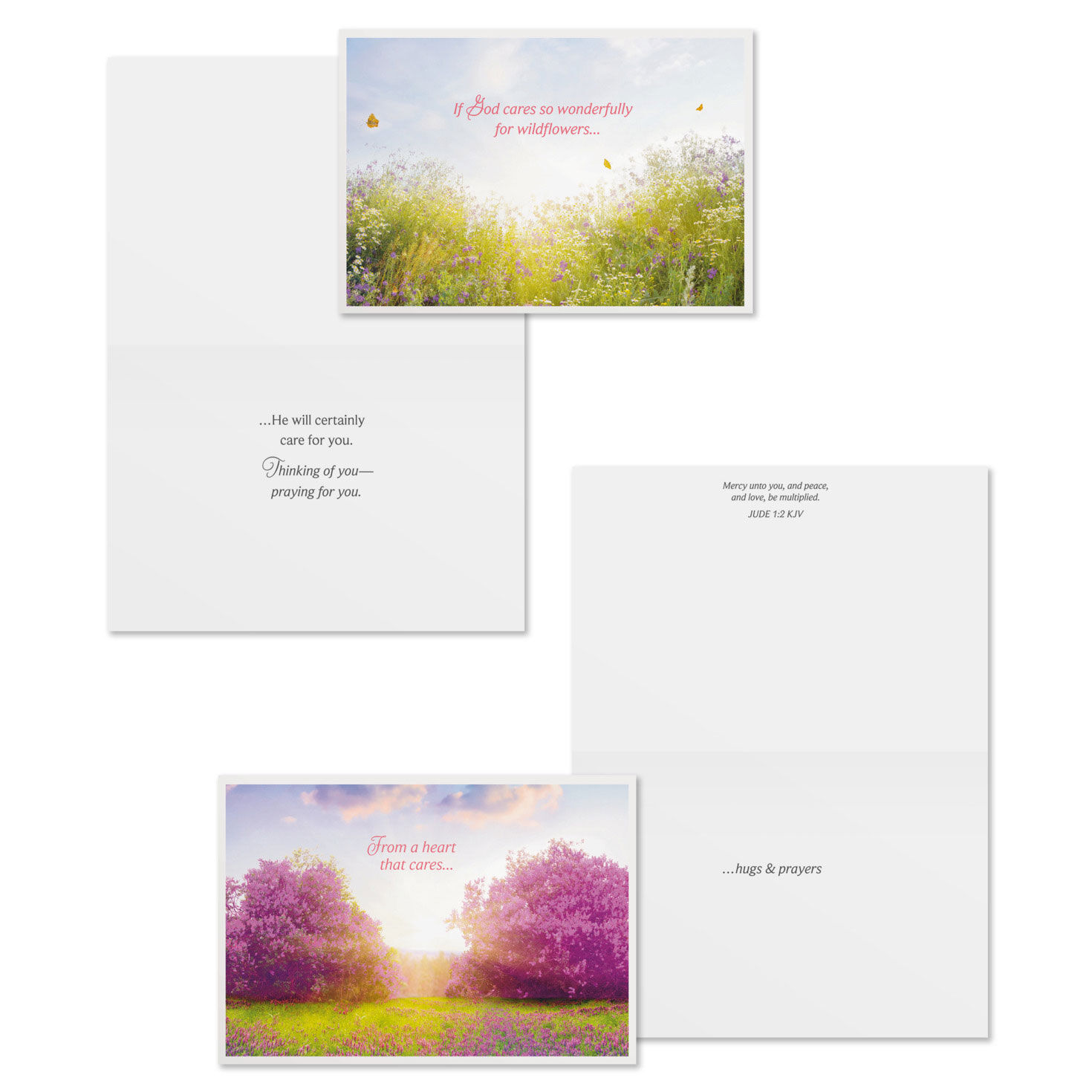 Scenic DaySpring Care and Concern Cards Assortment Card Front with Sentiment image number 4