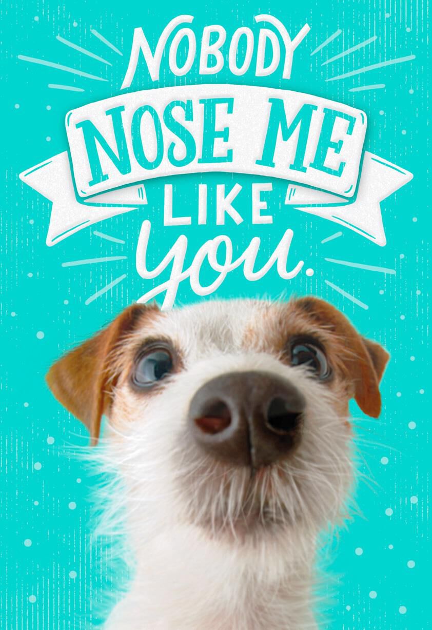 Nobody Nose Me Like You Friendship Card