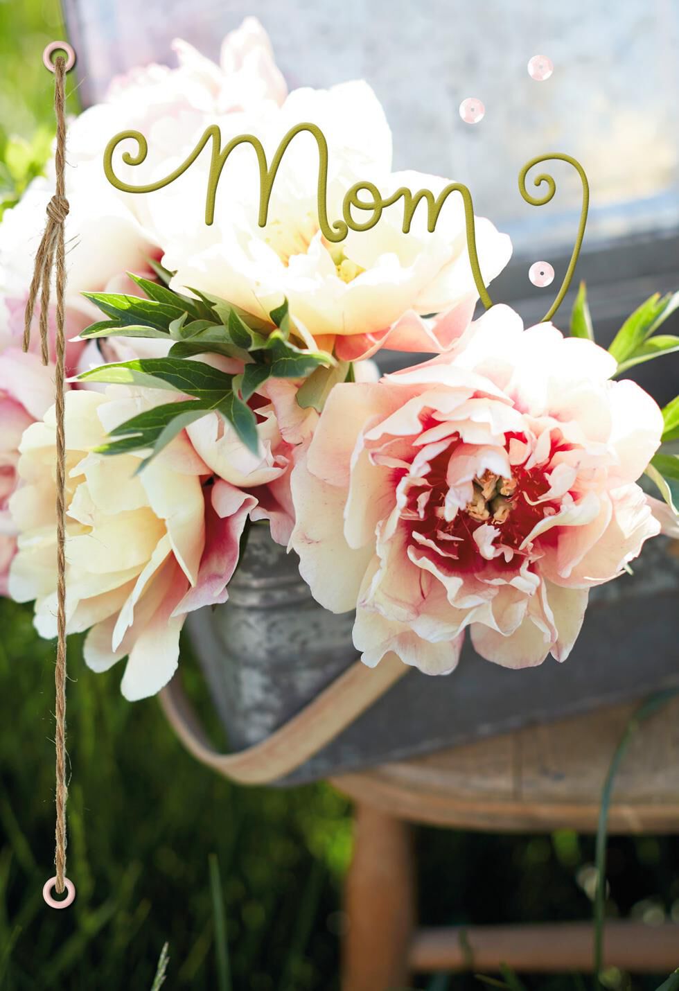 So Many Reasons Mother's Day Card