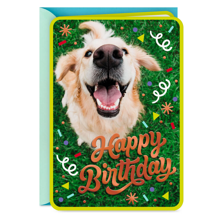 Doggone Happiness Birthday Card