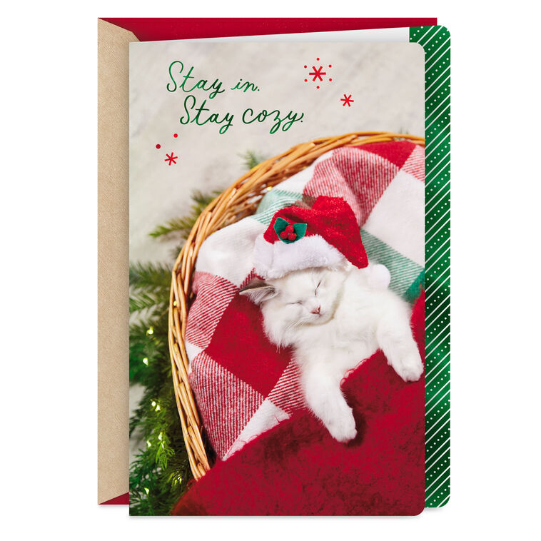 Stay Cozy This Holiday Christmas Card