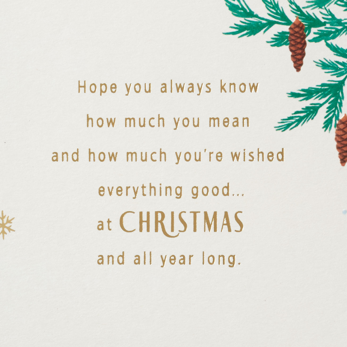 So Grateful for You Christmas Card for Brother-in-Law for only USD 4.59 | Hallmark