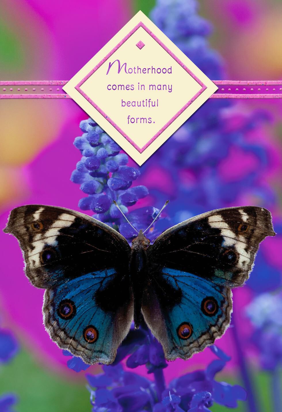 Motherhood Has Many Forms Mother's Day Card