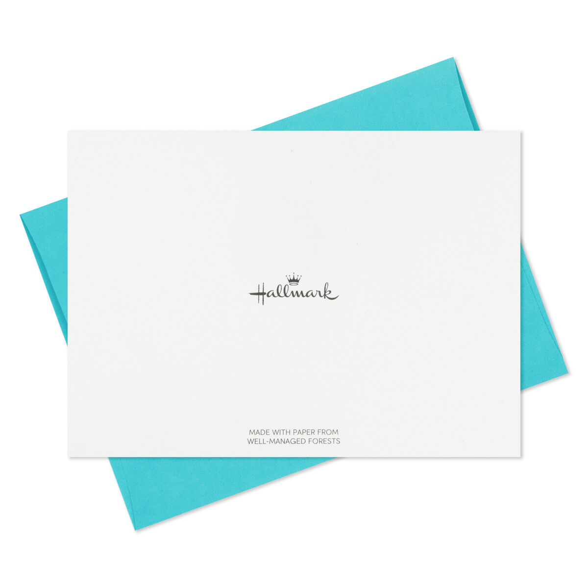 All the Feels Boxed Blank Note Cards Multipack, Pack of 10 Note Cards