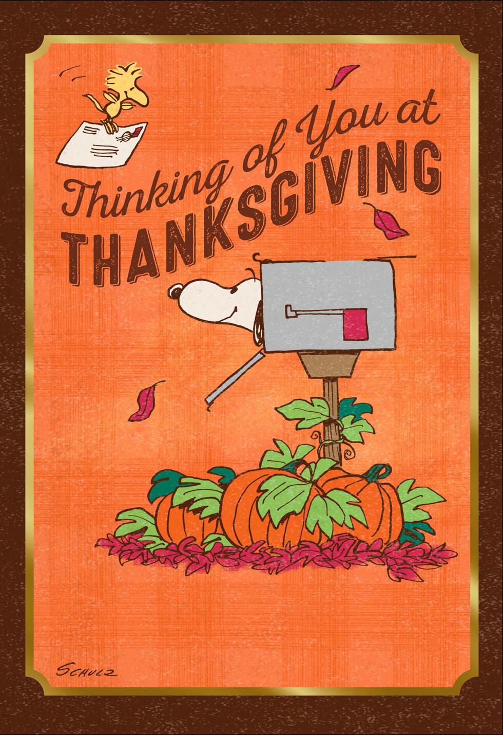 Peanuts® Snoopy and Woodstock Sending Love Thanksgiving Card - Greeting