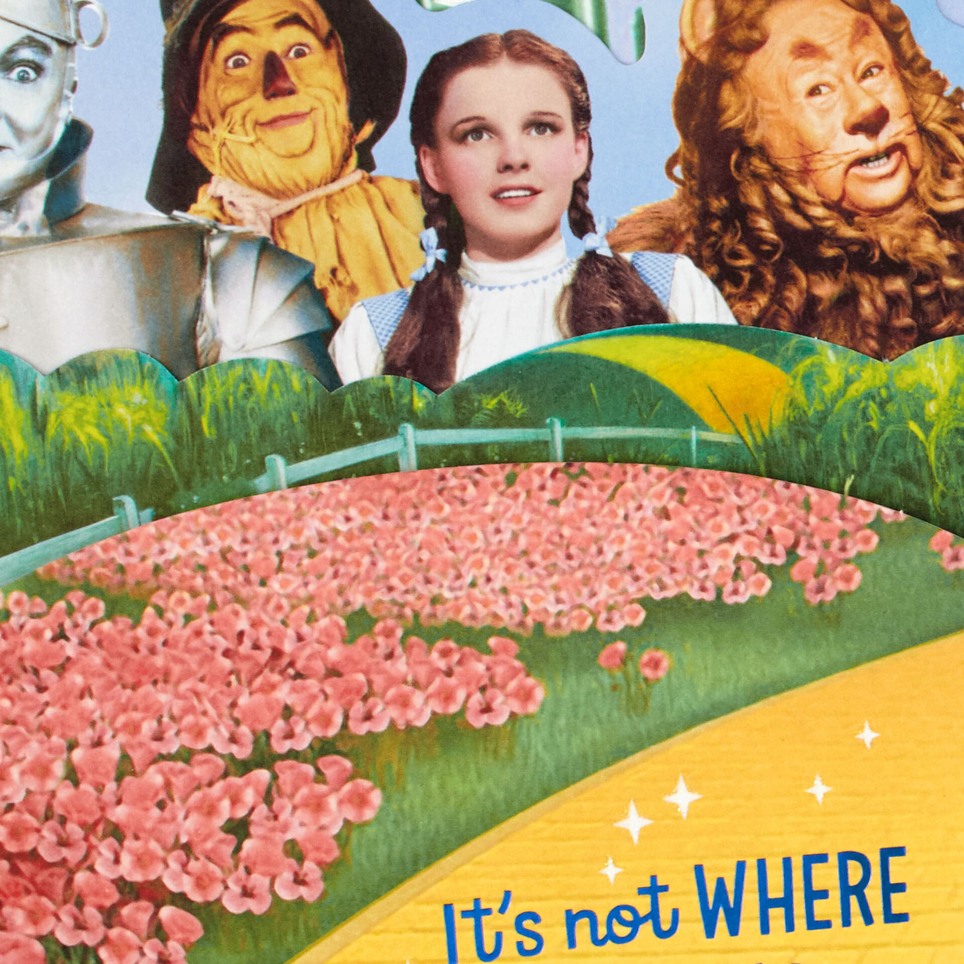 The Wizard of Oz™ Happy Our Paths Crossed Pop Up Birthday Card