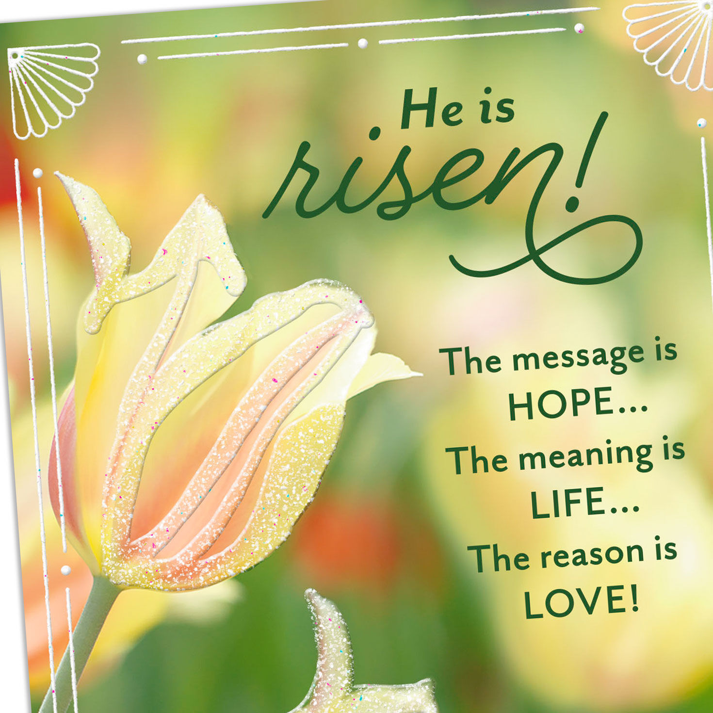 Tulips on Green Religious Easter Cards Pack Card Front Detail image number 5