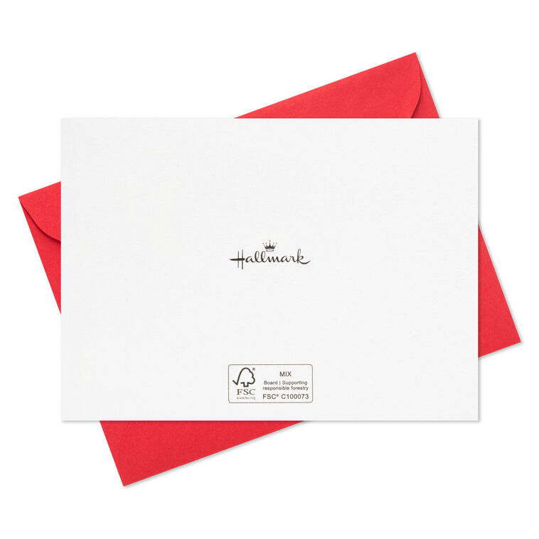 50 Gnome Holiday Greeting Cards 5x7 Cute Blank Winter Christmas Postcard Set, Bulk...