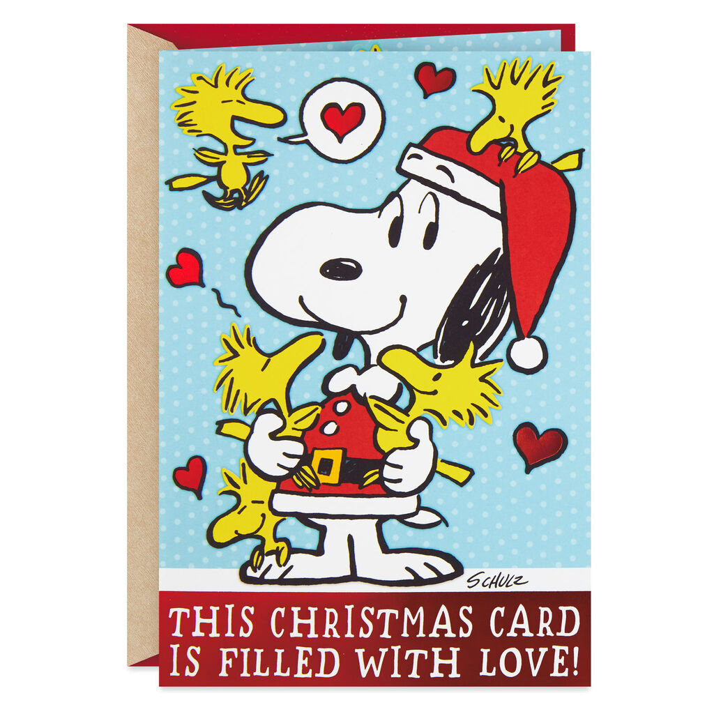 Peanuts Snoopy And Woodstock Christmas Card With Jokes Greeting