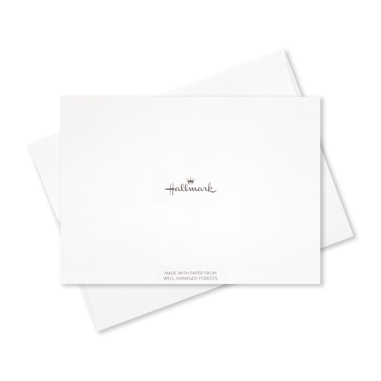 Watercolor Floral Assorted Sympathy Thank-You Notes, Box of 50, , large image number 4