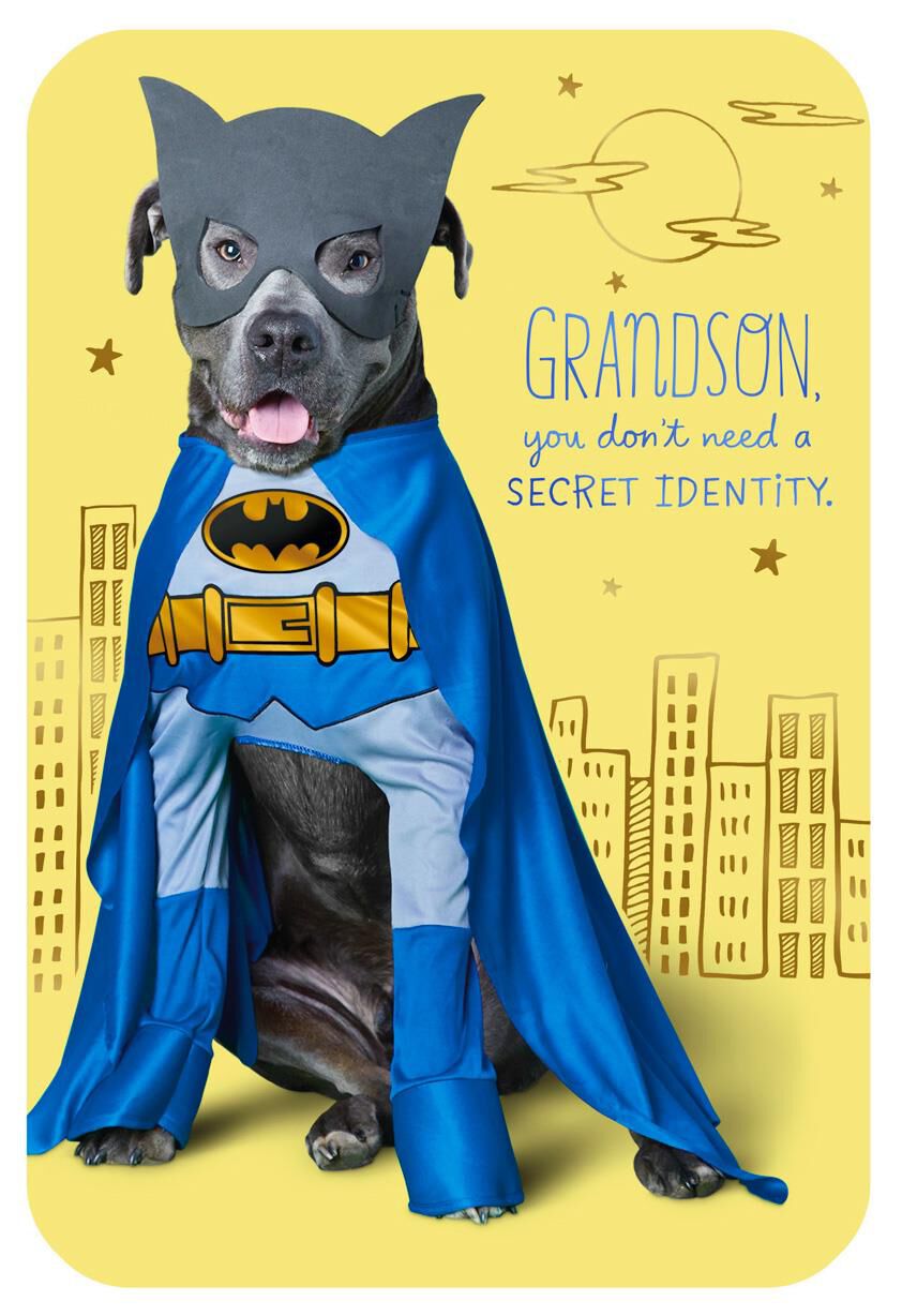 DC Comics™ Batman™ Dog Birthday Card for Grandson
