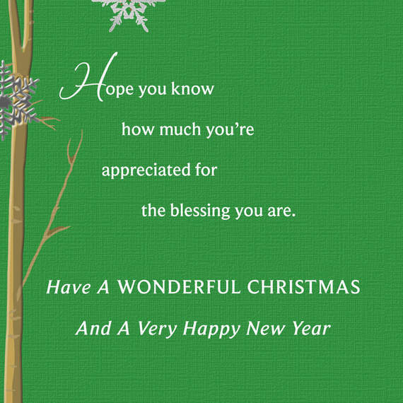 You're Appreciated Religious Christmas Card, , large image number 3