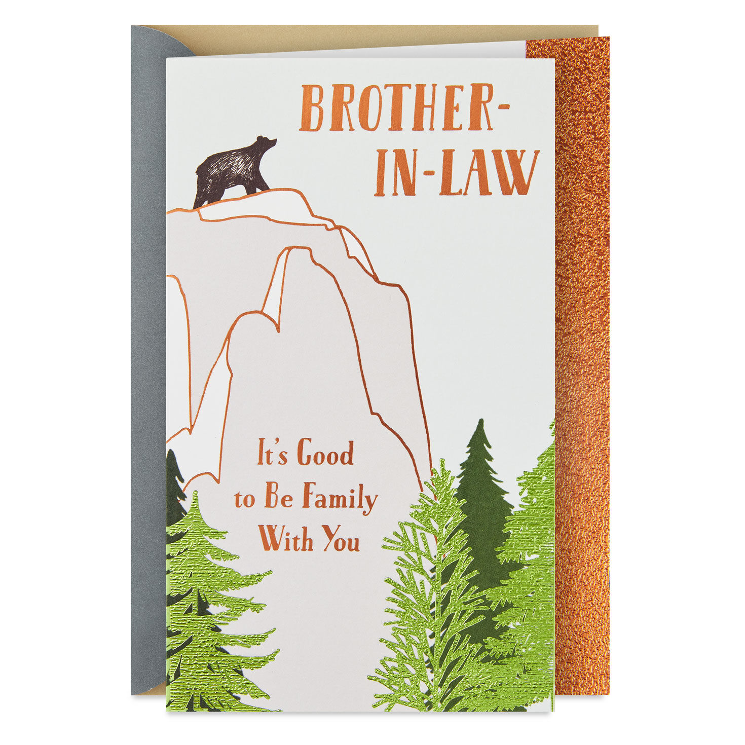 Good to Be Family Birthday Card for Brother-in-Law for only USD 4.59 | Hallmark