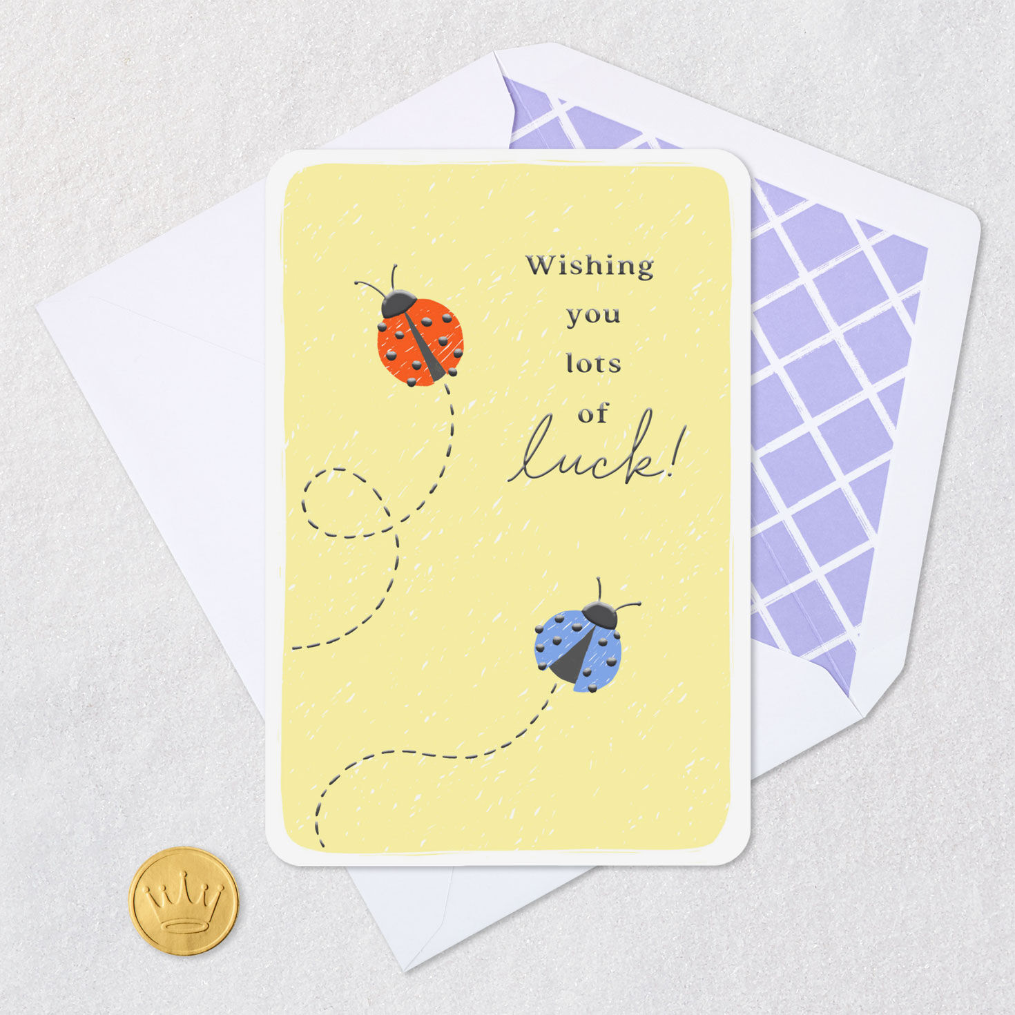 Red and Blue Ladybug Good Luck Card Card Front with Envelope and Gold Seal image number 5