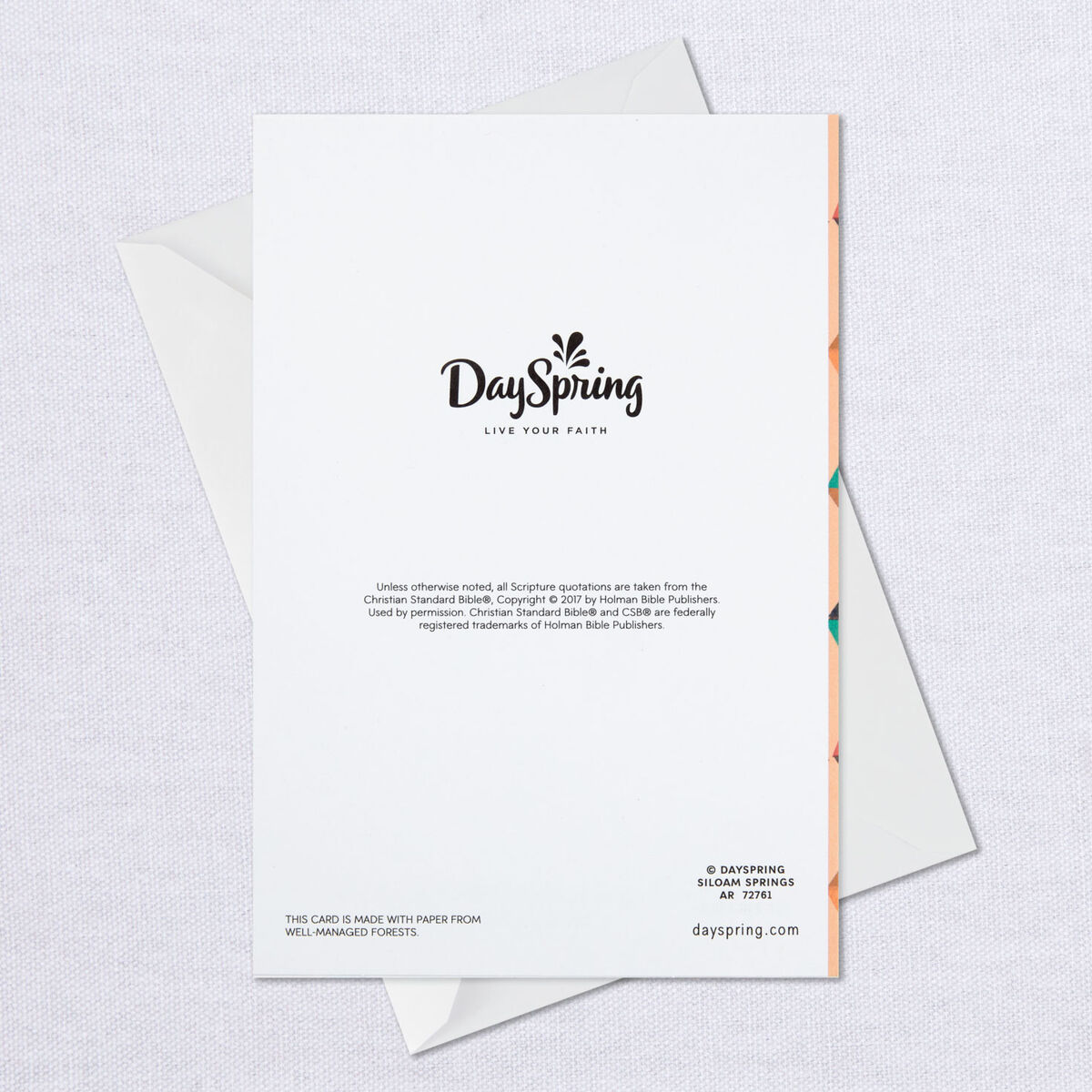 Asking God to Bless You Religious ThankYou Cards, Pack of 10 Boxed