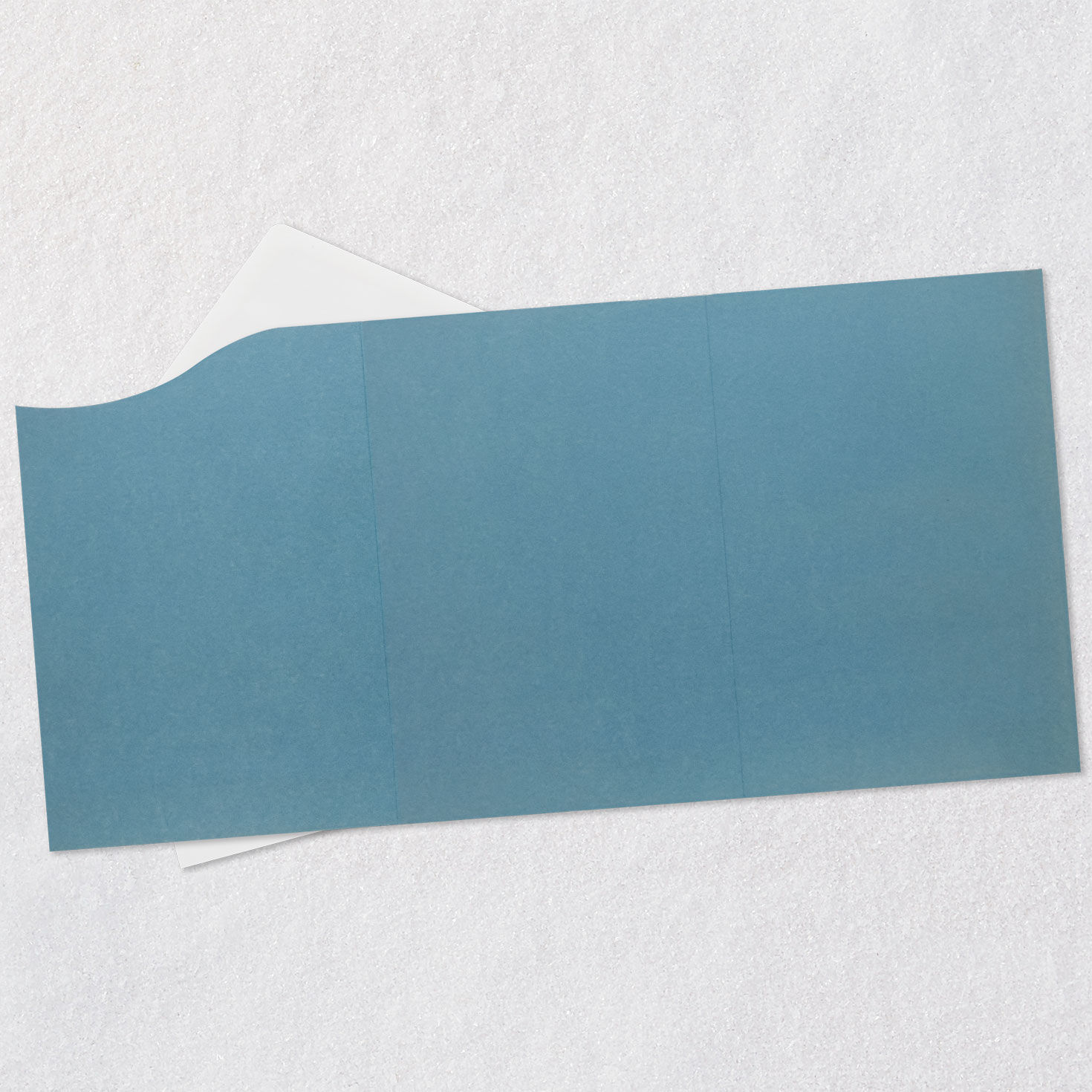 Blue Botanical Print Husband Father's Day Card Open card with envelope image number 4