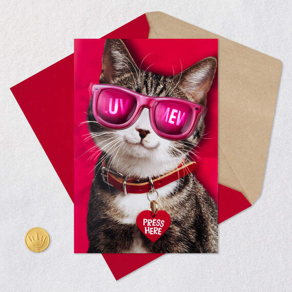 Luv Mew Funny Valentine's Day Card With Light and Sound, , large image number 5