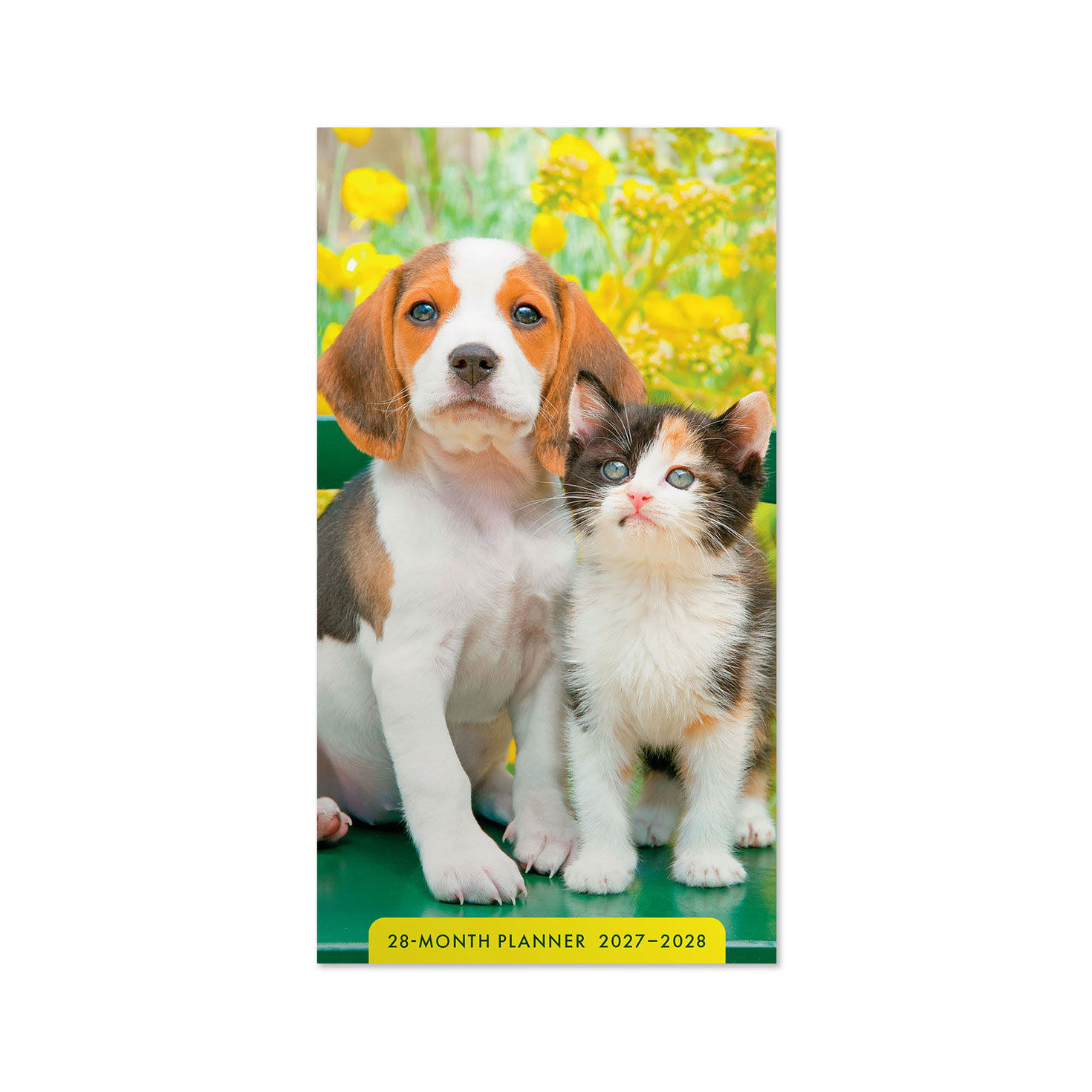 Puppy and Kitten 2027-2028 Inspirational Pocket Planner, 28-Month