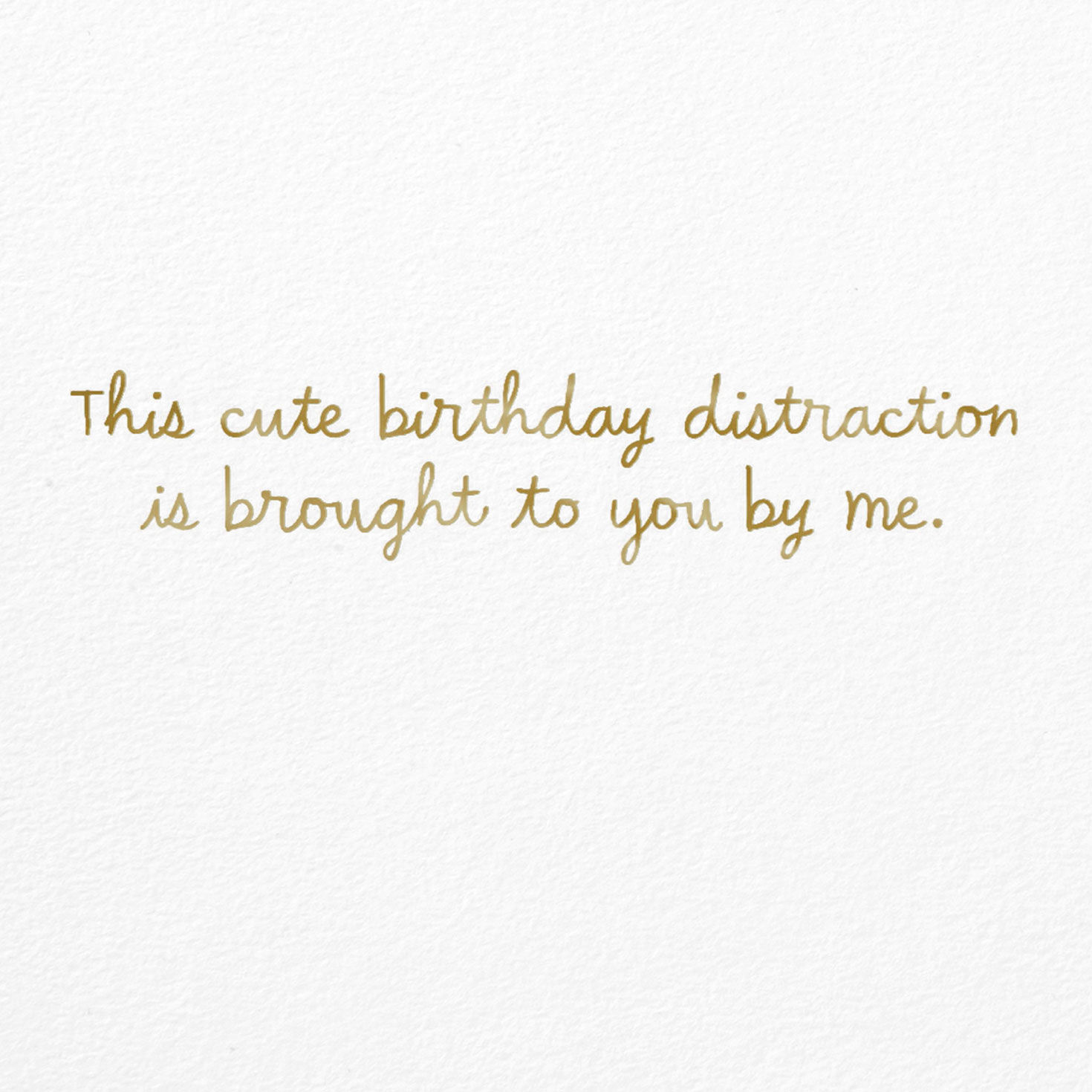Cute Kitten Photo Birthday Card, , large image number 2