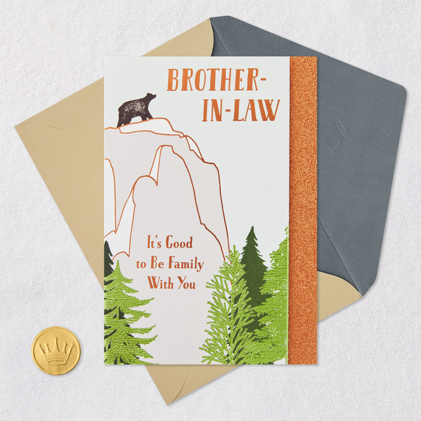 Good to Be Family Birthday Card for Brother-in-Law for only USD 4.59 | Hallmark