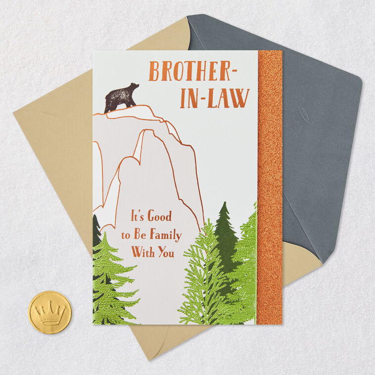 Good to Be Family Birthday Card for Brother-in-Law, , large image number 6