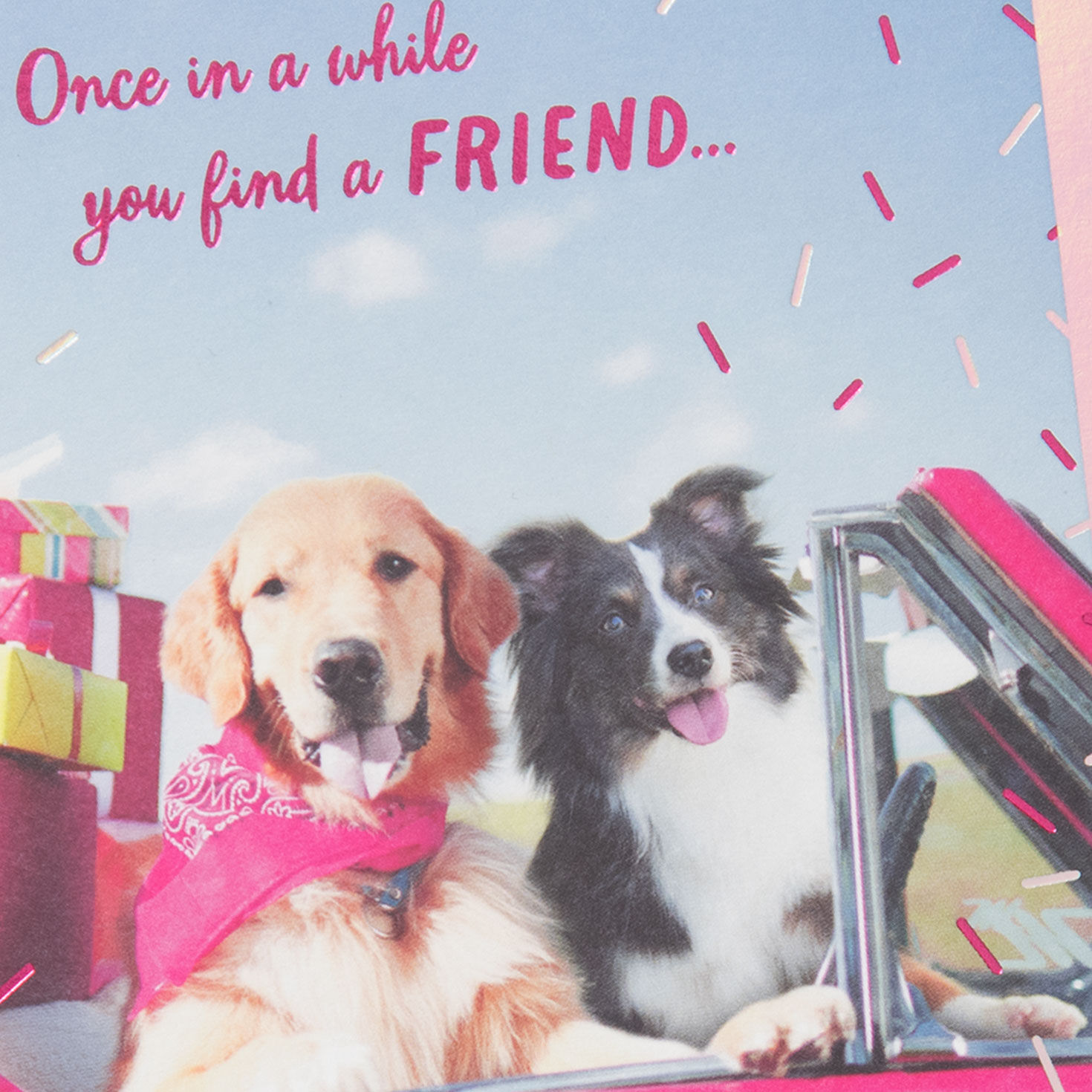 Dogs in Pink Car Friend Birthday Card for Her Card Front Detail image number 4