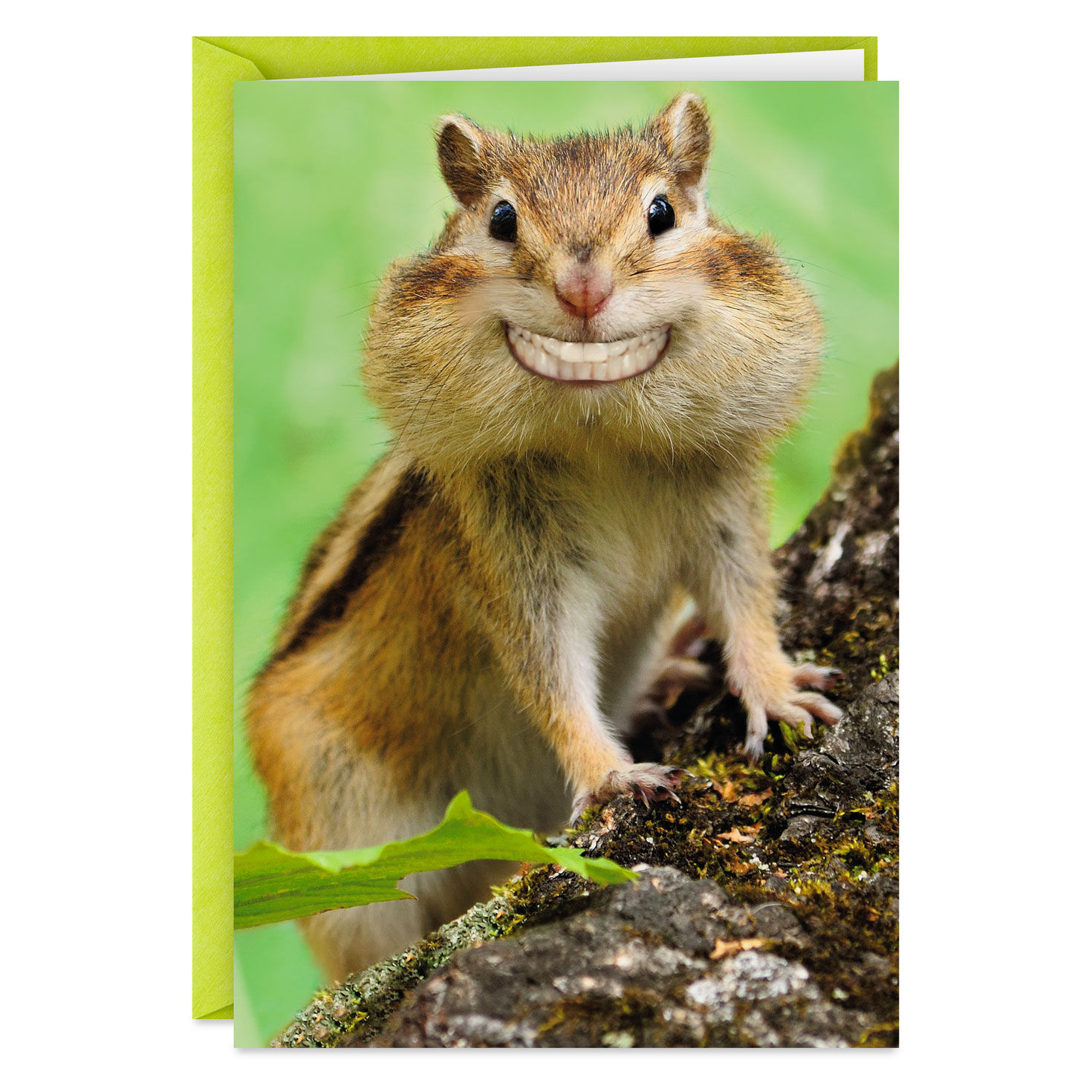 Grinning Chipmunk Funny Congratulations Card