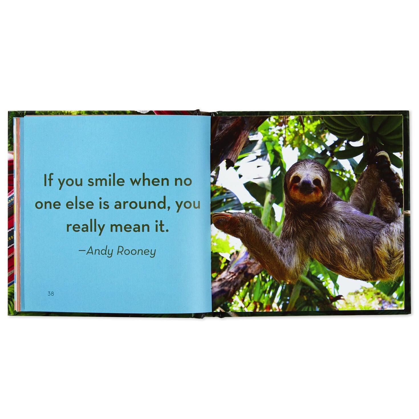 Life in the Sloth Lane: Slow Down and Smell the Hibiscus Book for only USD 9.99 | Hallmark