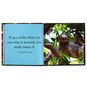Life in the Sloth Lane: Slow Down and Smell the Hibiscus Book, , large image number 3