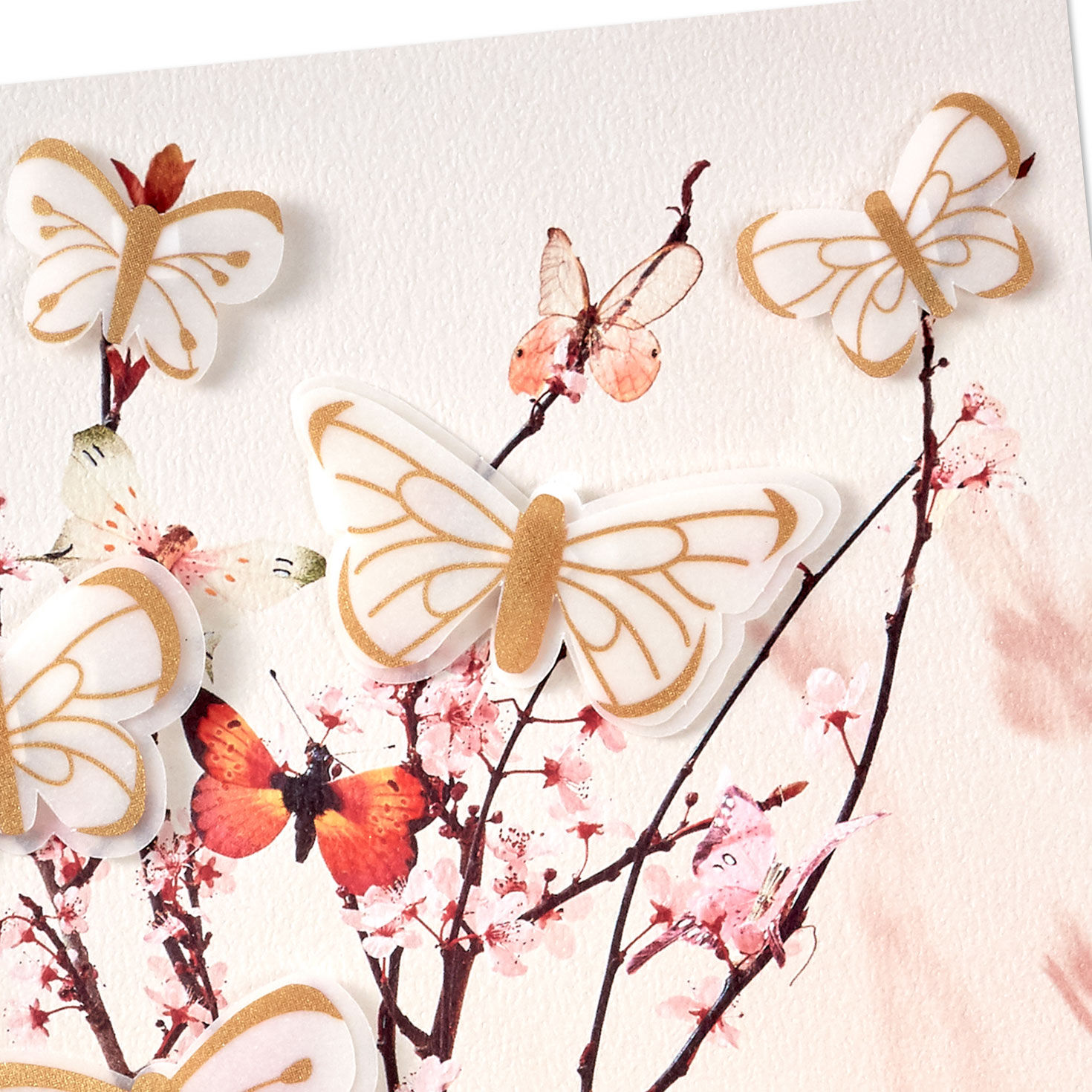Butterfly Birthday Cake Card for Daughter from Us Card Front Detail image number 5