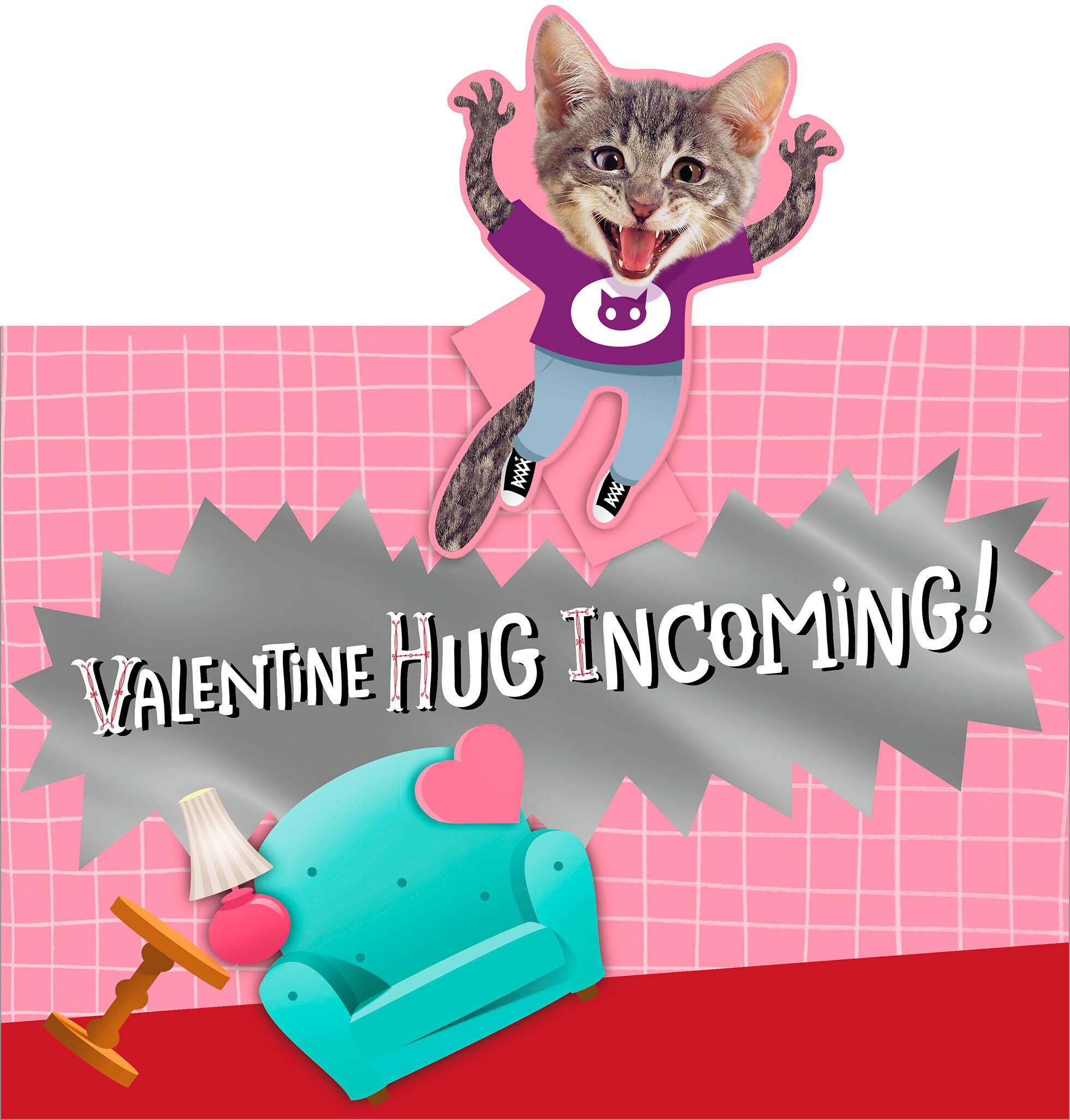 Incoming Hug Funny Valentine's Day Card