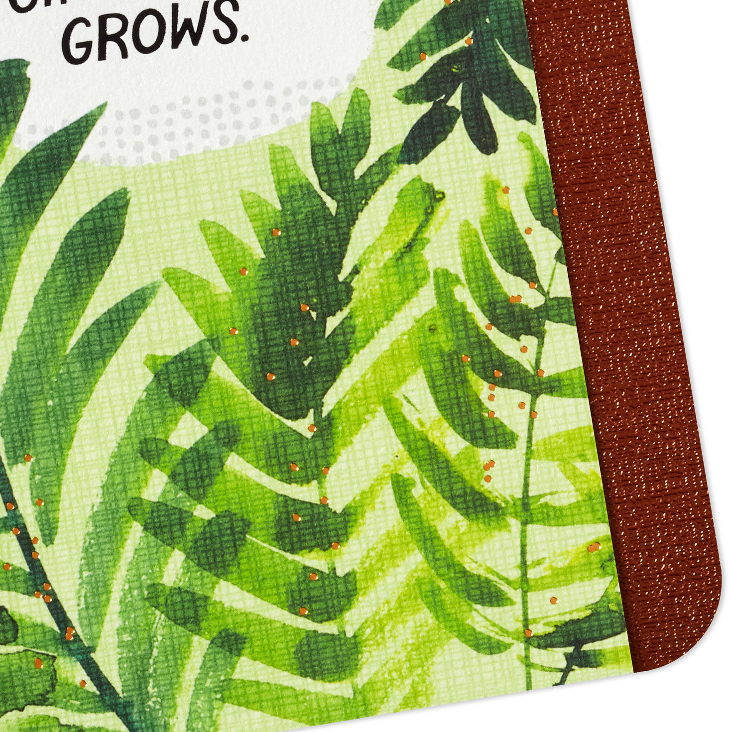 Fern Leaves Romantic Love Card Card Front Detial image number 6