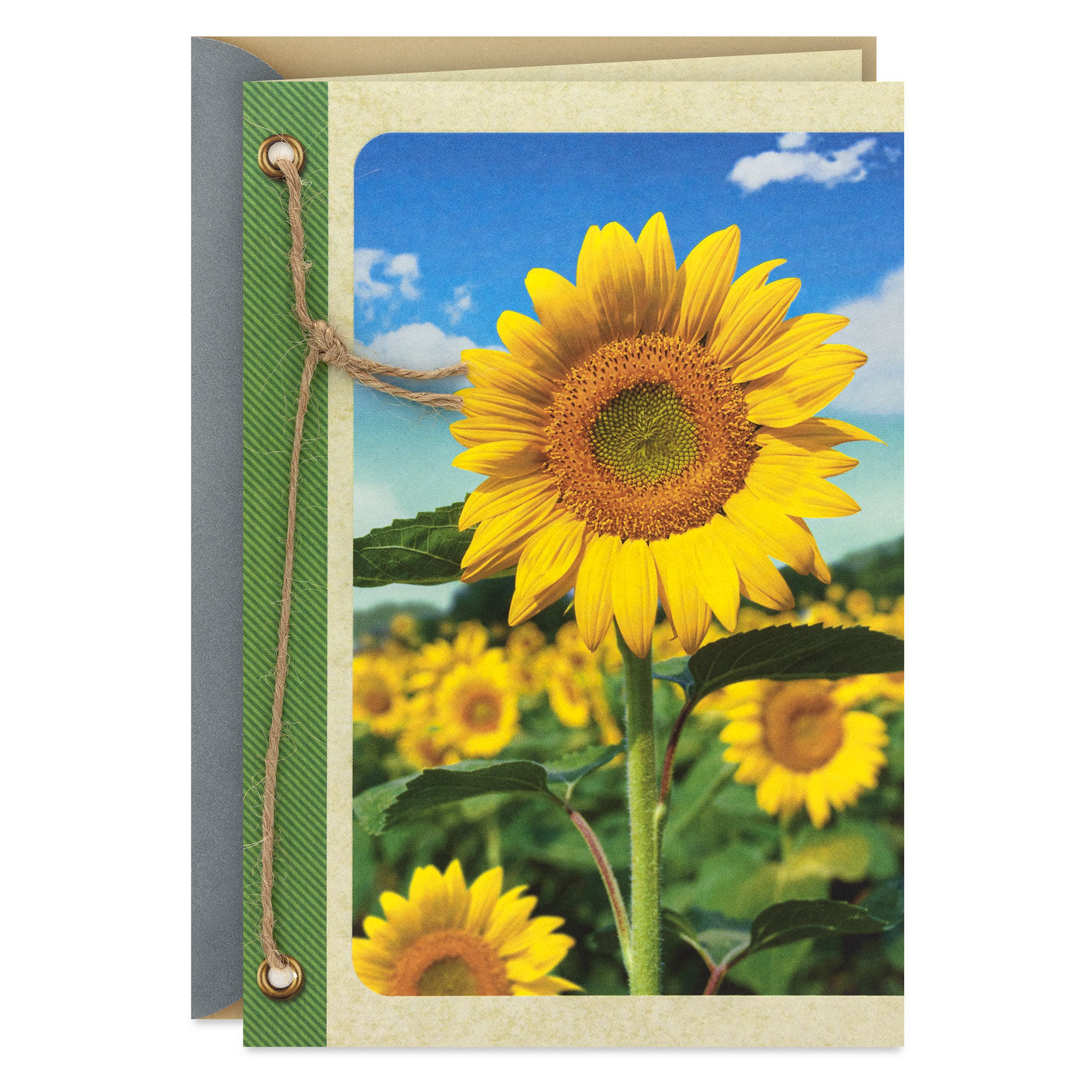 Field of Sunflowers Blank Card