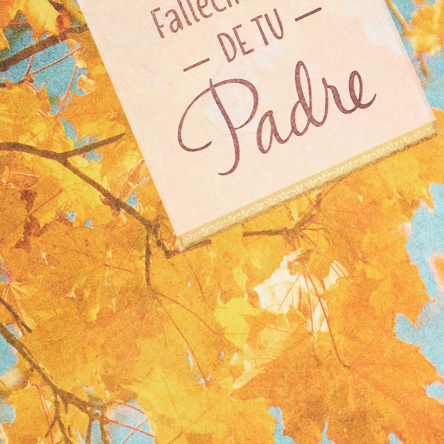 Comfort in Memories Spanish-Language Sympathy Card for Loss of Father, , large image number 5