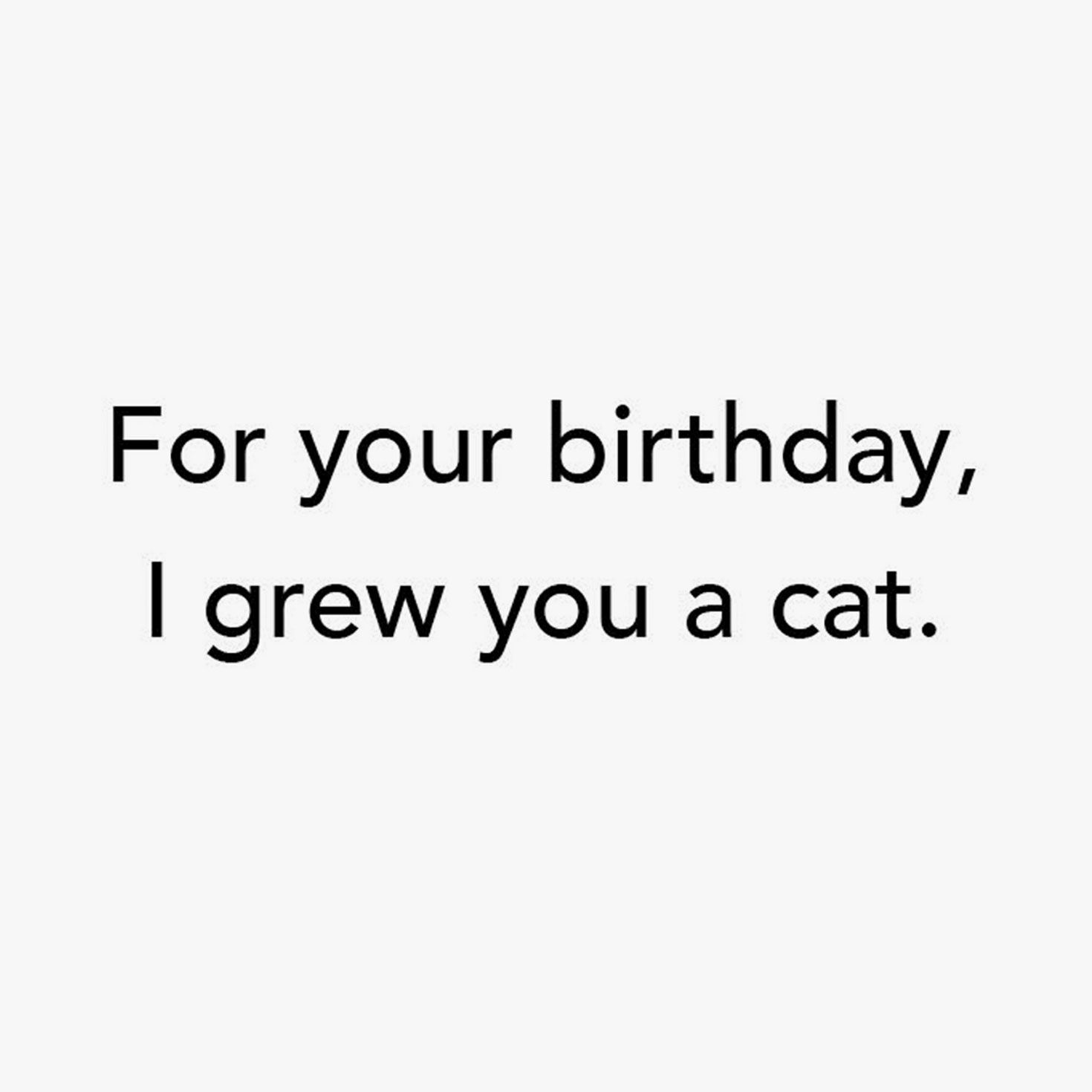 Kitten in Terra Cotta Pot Funny Bday Card Sentiment image number 2