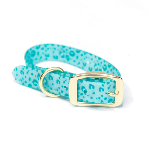 Mary Square Blue Cheetah Print Dog Collar, 