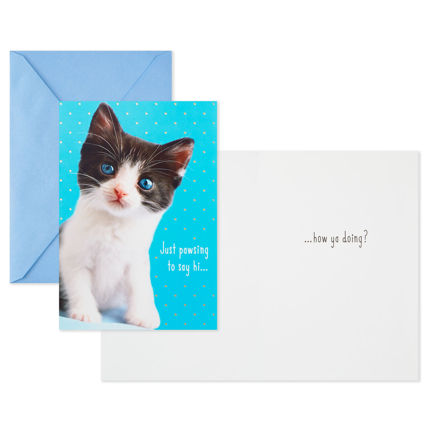 Cheery and Bright Assorted Multi-Occasion Cards, Pack of 8, , large image number 3