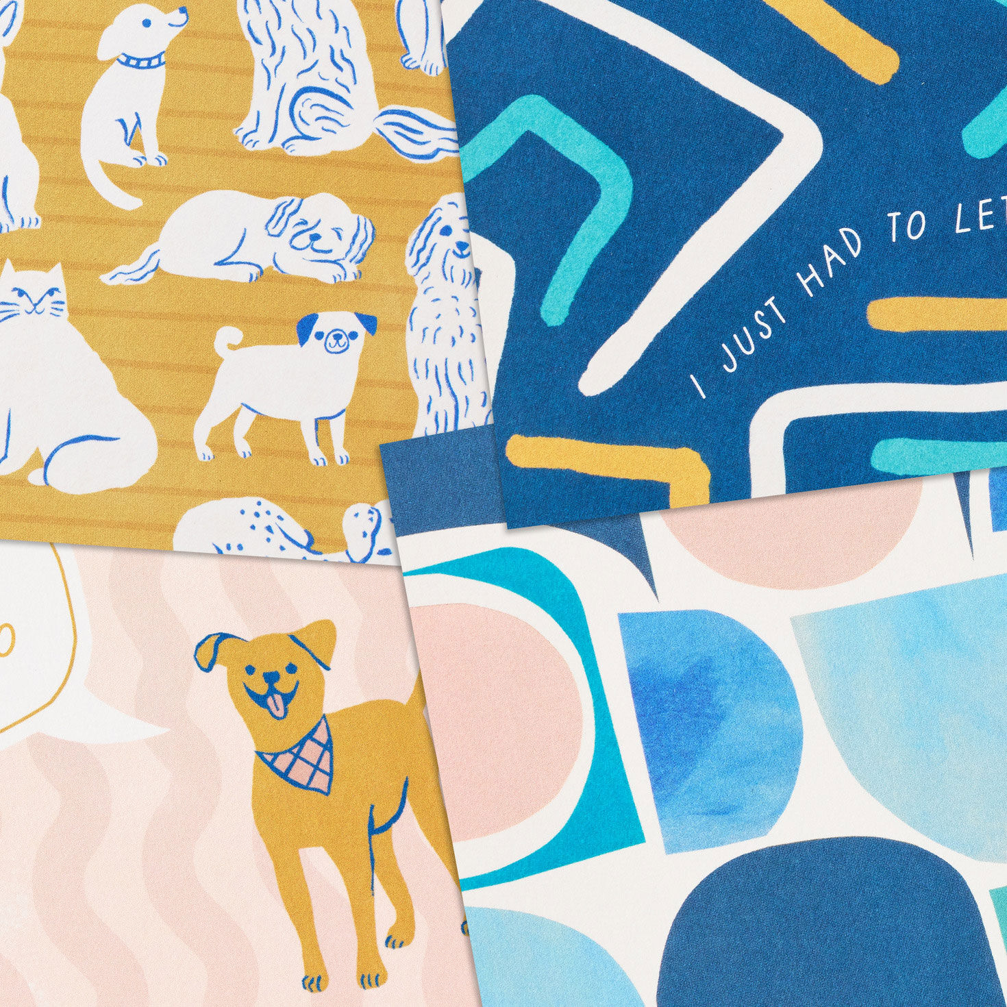 Dogs and Geometrics Blank Note Cards Assortment Cover Details image number 5